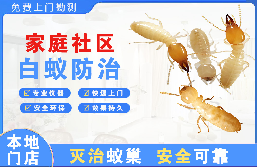 铜梁家庭社区白蚁防治