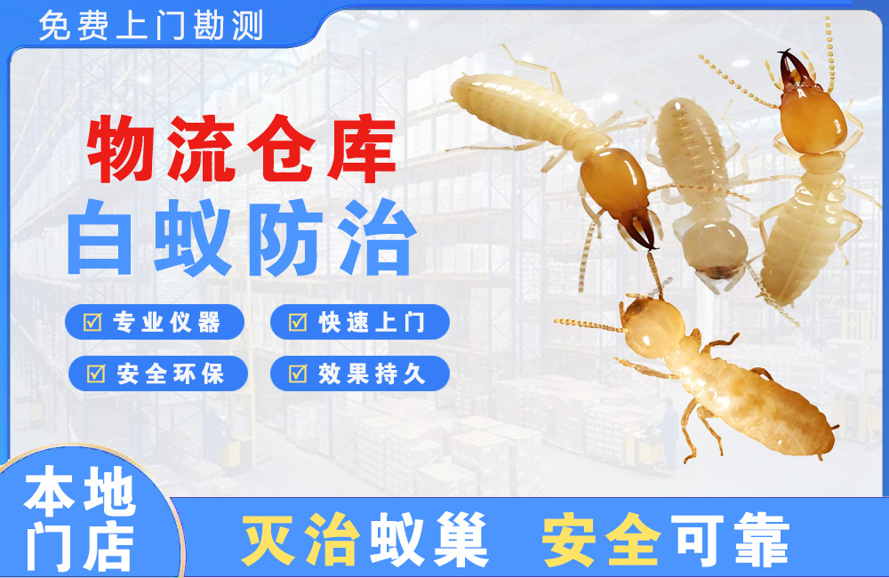 铜梁物流仓库白蚁防治