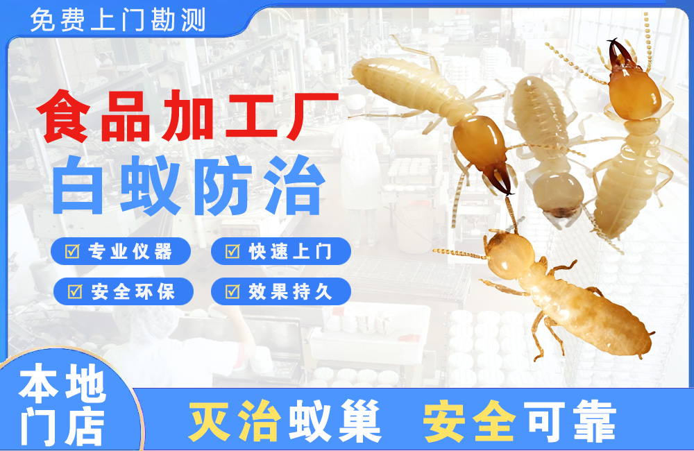 铜梁食品加工厂白蚁防治
