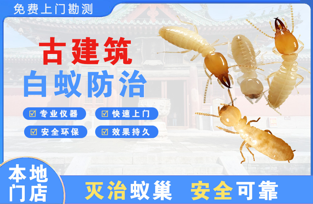 铜梁古建筑白蚁防治