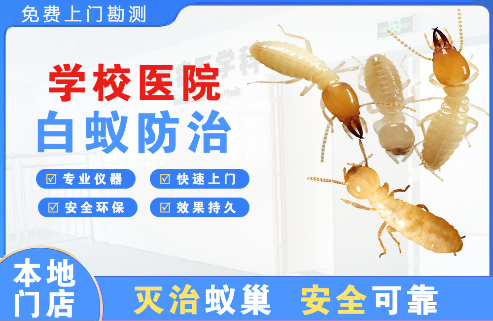 铜梁学校医院白蚁防治