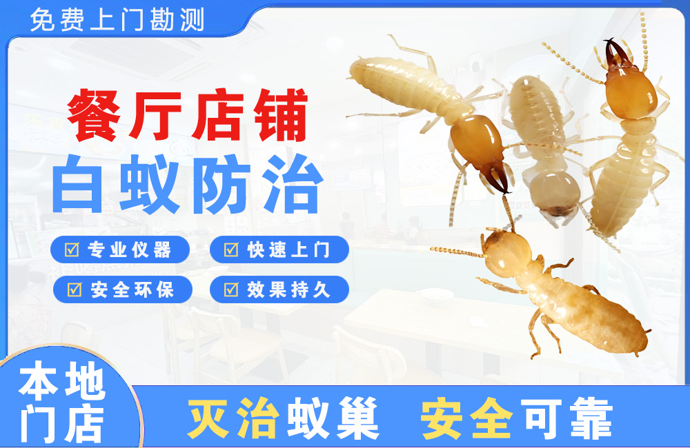铜梁餐厅店铺白蚁防治